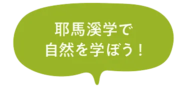 耶馬溪学で自然を学ぼう！という文字が入っている吹き出し
