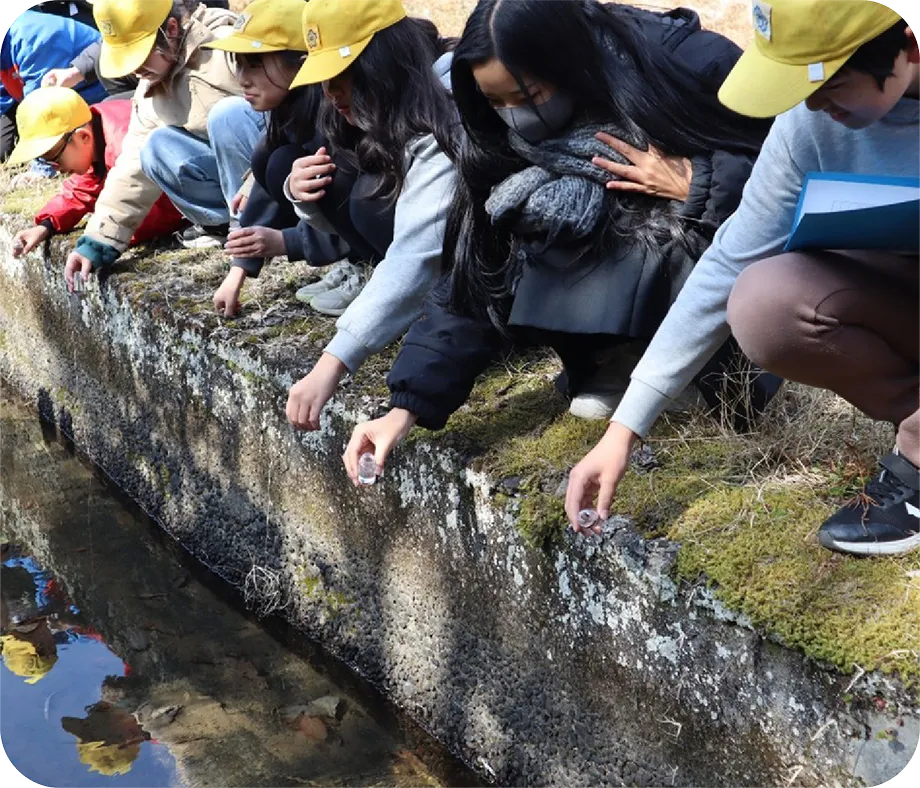 水辺で自然観察をしている学生たち
